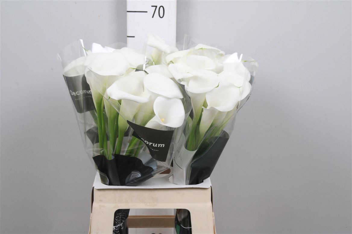 Calla Ivory Art 65cm
