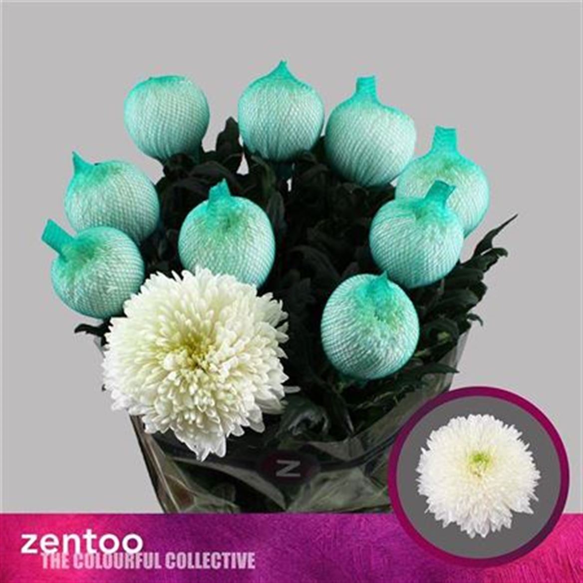 Chrys Single Magnum 70cm 105gram