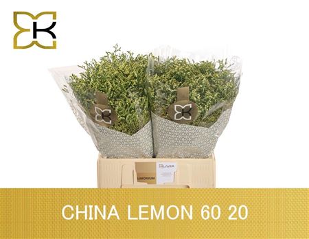 Lim Sin China Lemon