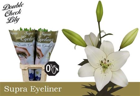 Li La Eyeliner