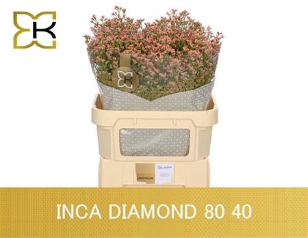 Lim Sin Inca Diamond