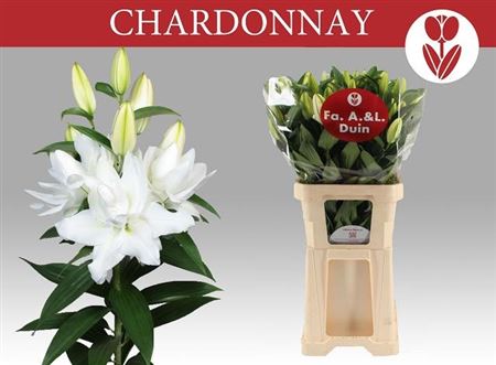Li Or Du Chardonnay