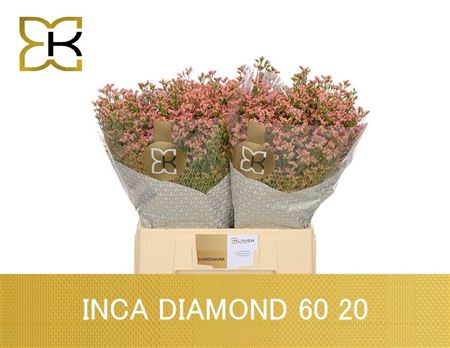 Lim Sin Inca Diamond