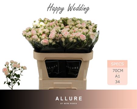 R Tr Happy Wedding