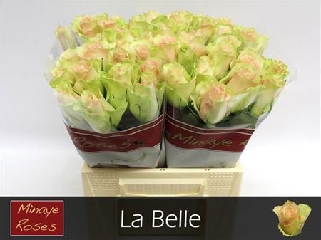 R Gr La Belle