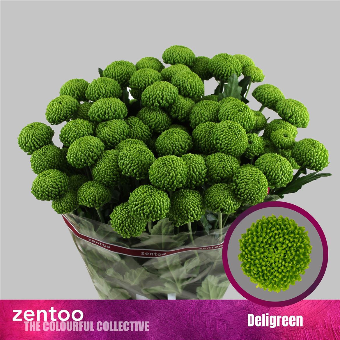 Chrys Spray Deligreen 90gram