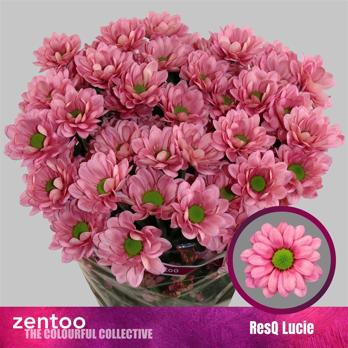 Chr T Resq Lucie 95gram 70cm