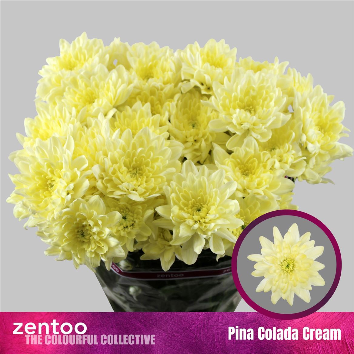 Chrys Spray Pina Colada Cream 110gram