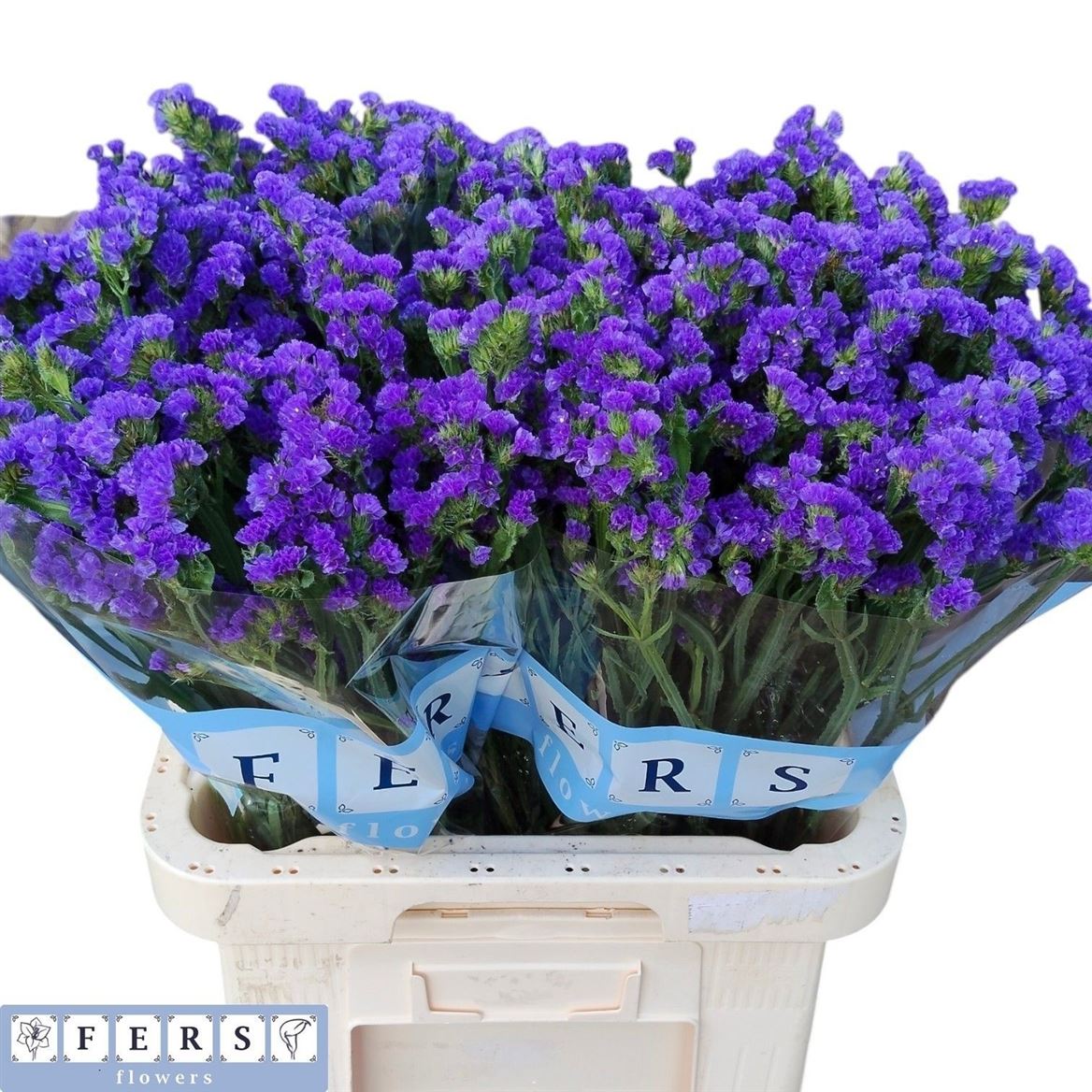 Statice Crystal Dark Blue 70cm 40gram